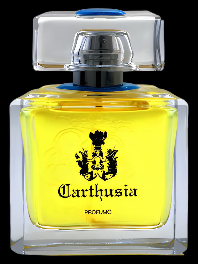 Aria di Capri Profumo Carthusia Perfume by Carthusia for Women UAE