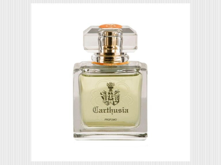 Terra Mia Profumo Carthusia Perfume by Carthusia for Unisex UAE