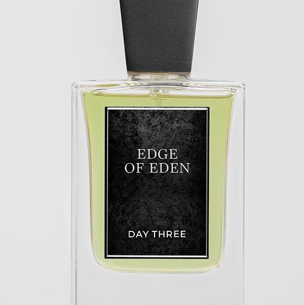Desert Rain Day Three Perfume by Day Three for Unisex UAE