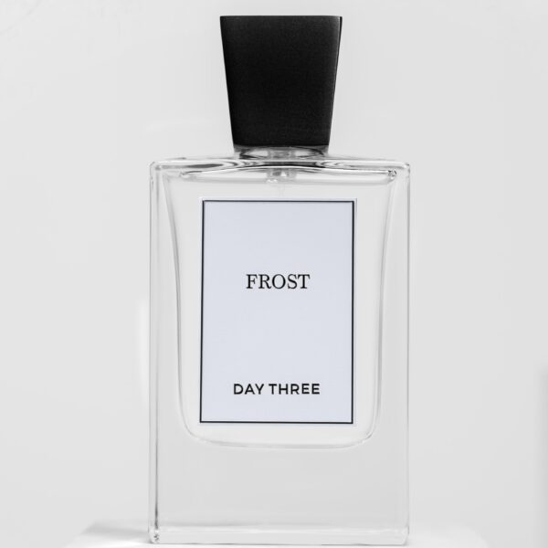Desert Rain Day Three Perfume by Day Three for Unisex UAE