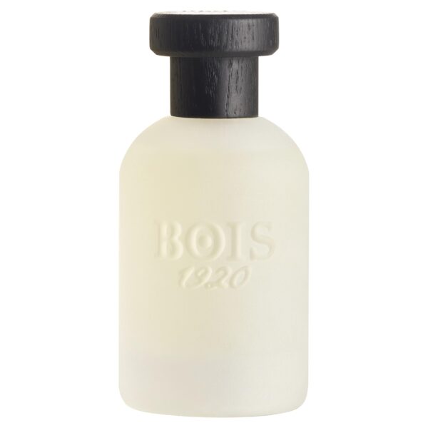 Musk 1920 Bois 1920 perfume