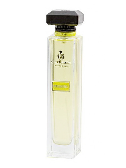 1681 Carthusia Perfume by Carthusia for Men UAE