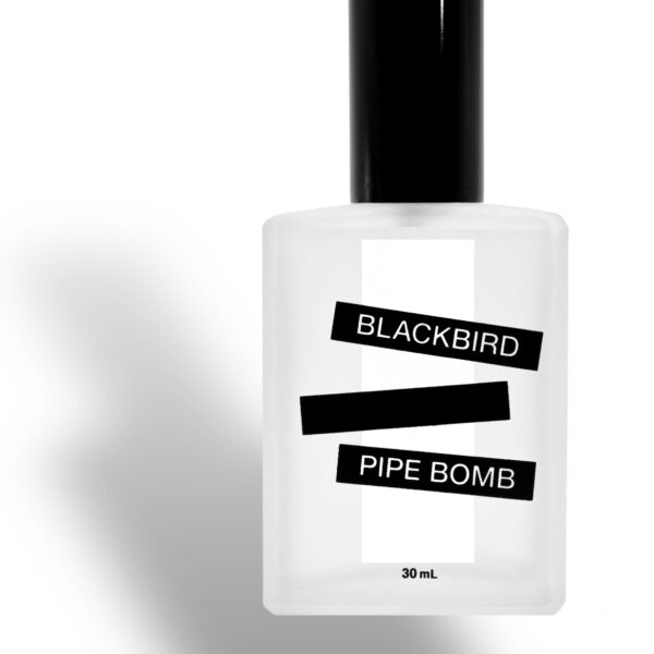 Ophir Blackbird Perfume by Blackbird for Unisex UAE