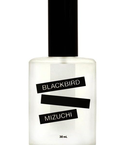 Ophir Blackbird Perfume by Blackbird for Unisex UAE