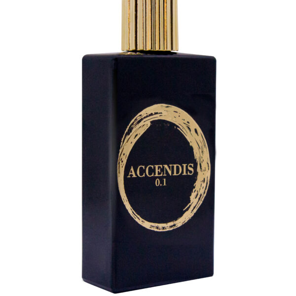 Frapin Nevermore Perfume by Frapin for unisex UAE