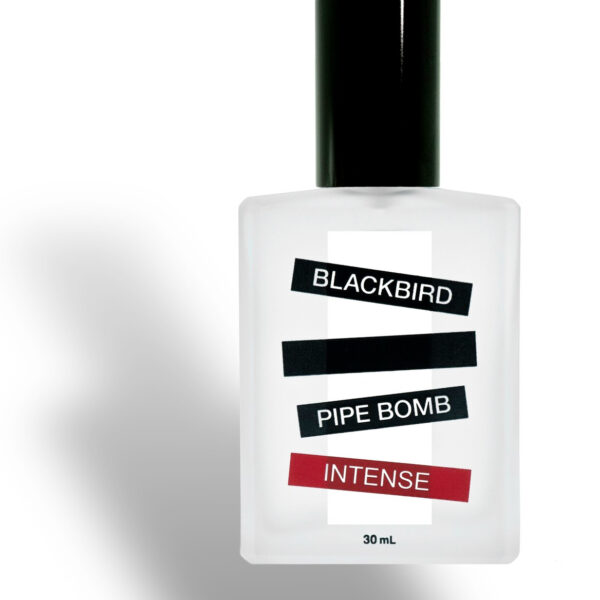Ophir Blackbird Perfume by Blackbird for Unisex UAE