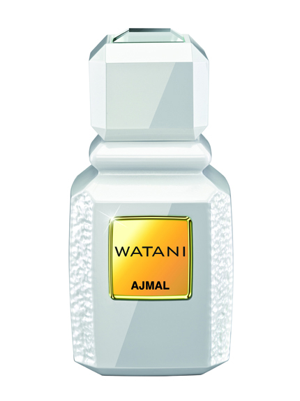 Shaik Opulent Classic No 33 Perfume by Shaik for female UAE