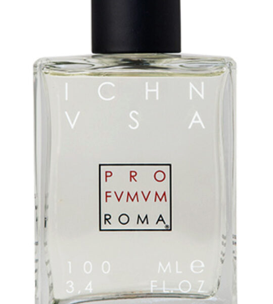 Omanluxury Wanderlust Perfume by Omanluxury for unisex UAE