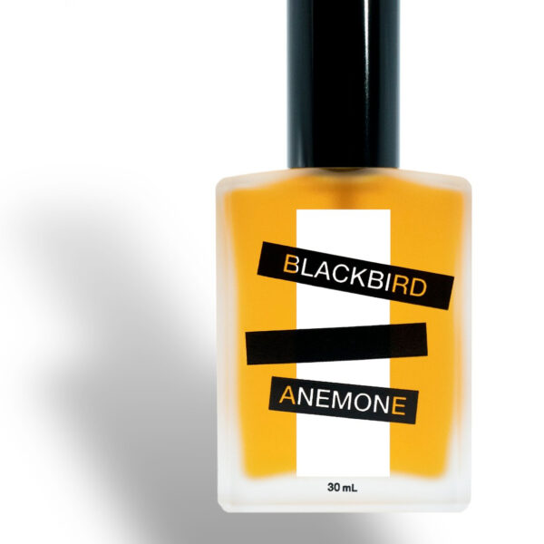 Ophir Blackbird Perfume by Blackbird for Unisex UAE