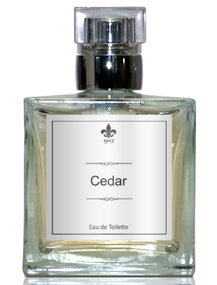 Pepper 1907 Perfume by 1907 for Unisex UAE