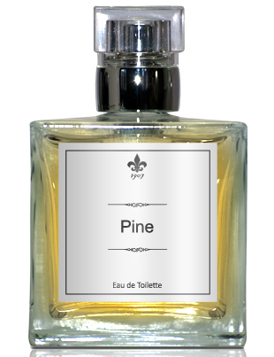 Pino Silvestre Amber Woods Perfume by Pino Silvestre for male UAE