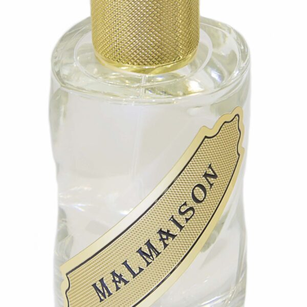 Blackberry unisex Perfume by Max Philip for unisex UAE