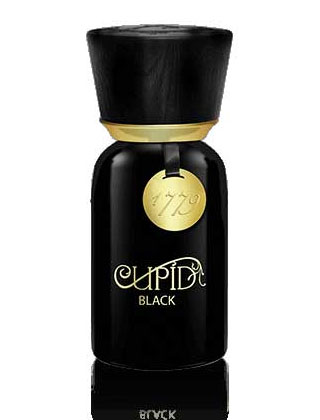 Cupid No.6 Parfum Cupid Perfumes Perfume by Cupid Perfumes for Unisex UAE