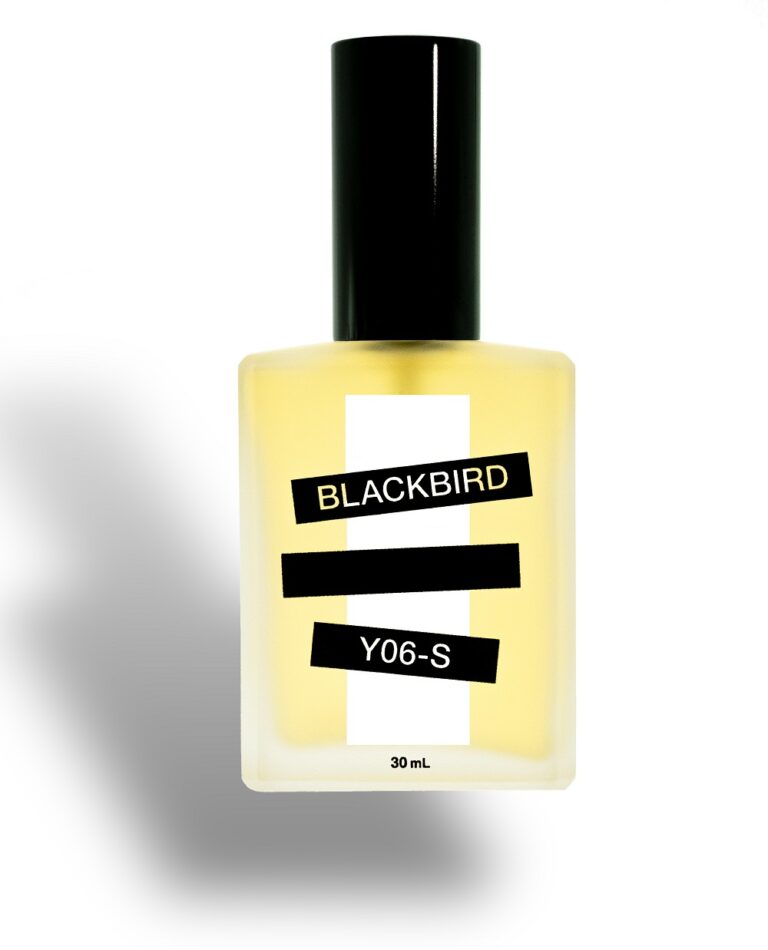 Y06-S Blackbird Perfume by Blackbird for Unisex UAE