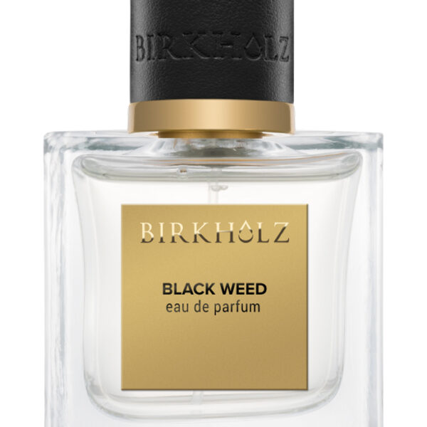 First Spring Birkholz Perfume by Birkholz for Unisex UAE