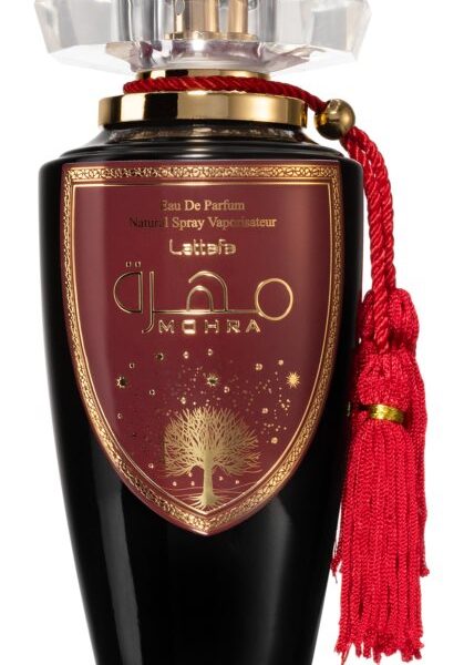 Ab Spirit Millionaire Oud Collection Perfume by Lomani for female UAE