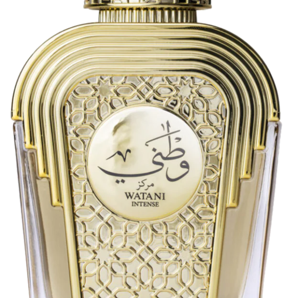 Oud Al Layl unisex Perfume by Arabiyat for unisex UAE