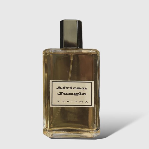 Positive Energy for men Perfume by Ahmed Mahsoub KARIZMA for male UAE