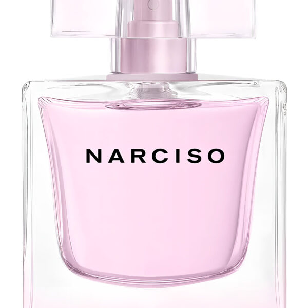 Narciso Rodriguez for Her Musc Perfume by Narciso Rodriguez for Women UAE