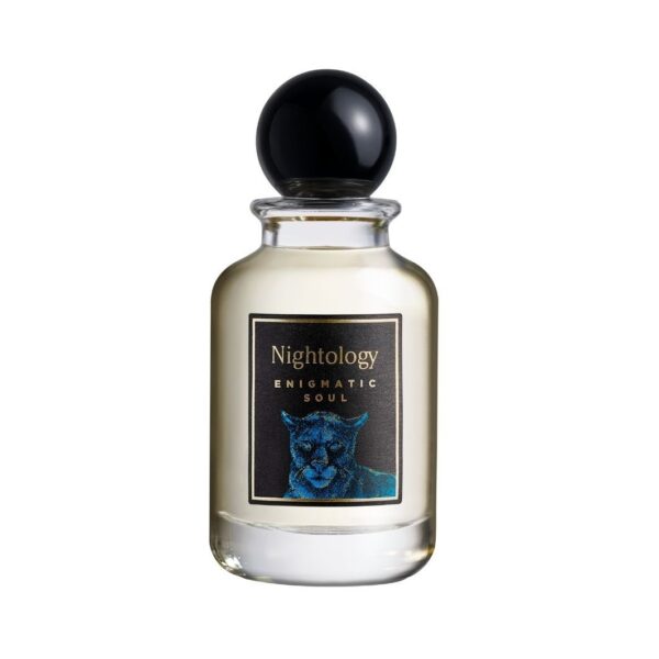 Enigmatic Soul Jesus Del Pozo perfume