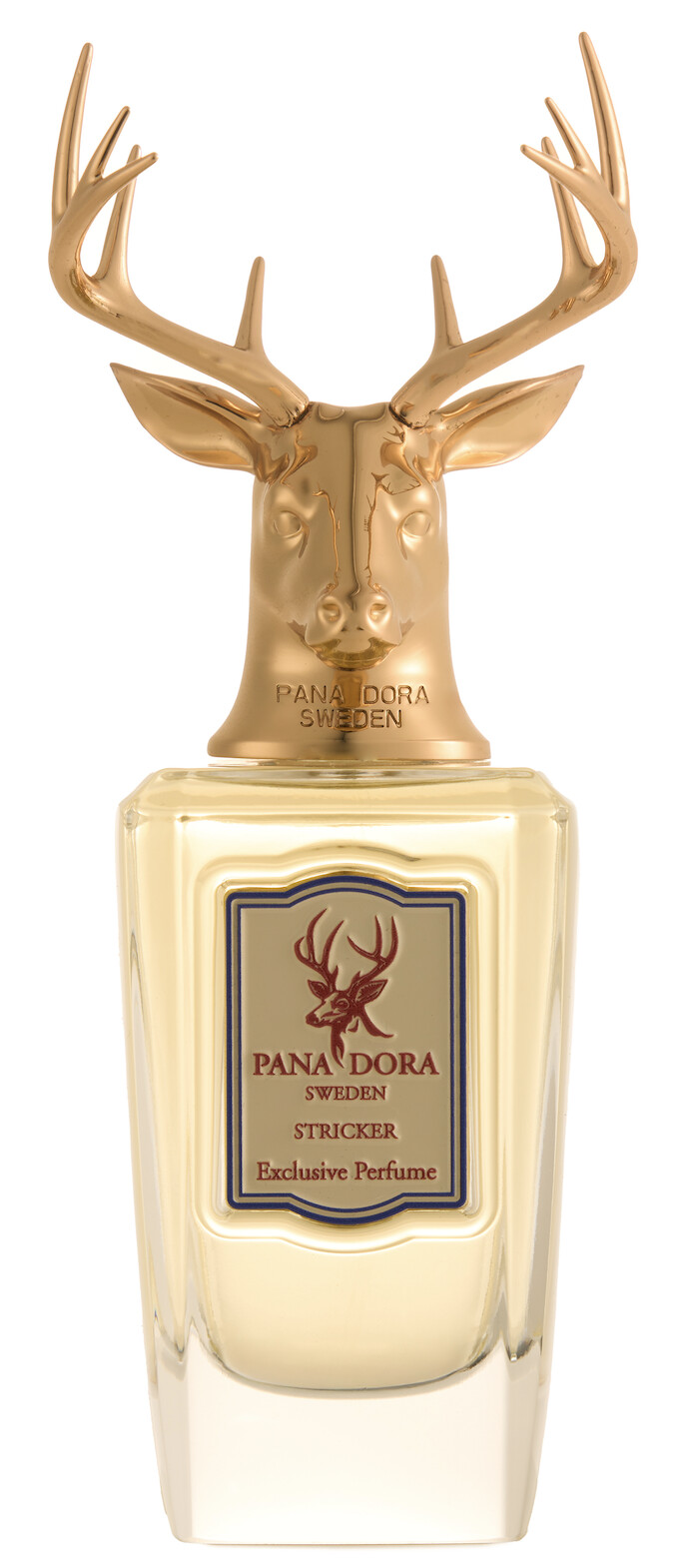 Stricker Pana Dora Perfume by Pana Dora for Unisex UAE