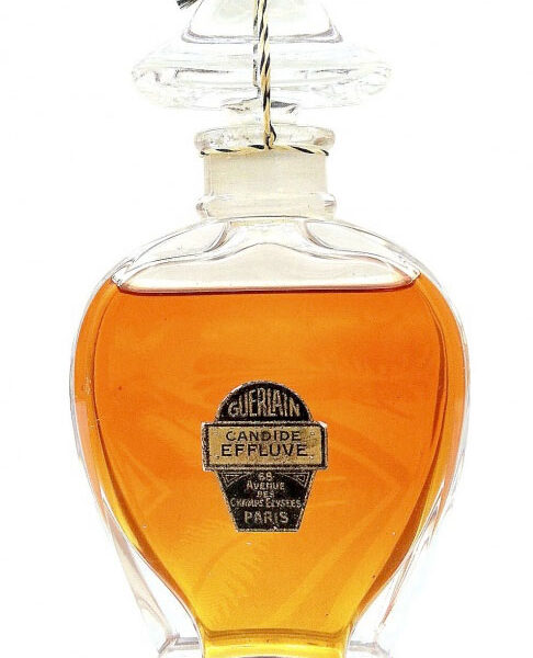 Candide Effluve Guerlain perfume