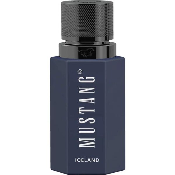 Panama Mustang Perfume by Mustang for Men UAE