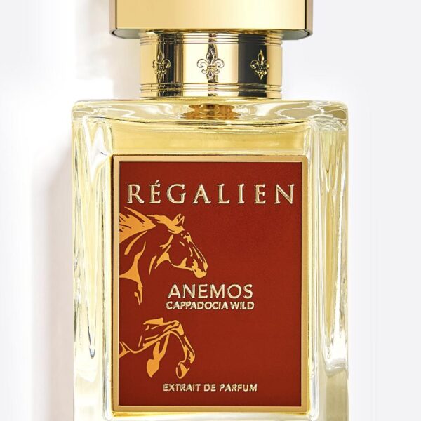 Ala Regalien Perfume by Regalien for Unisex UAE