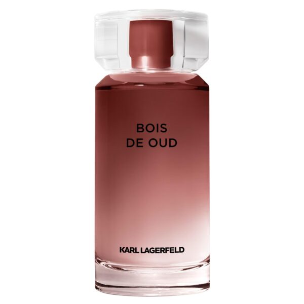 Fleur de Vanille Karl Lagerfeld Perfume by Karl Lagerfeld for Women UAE