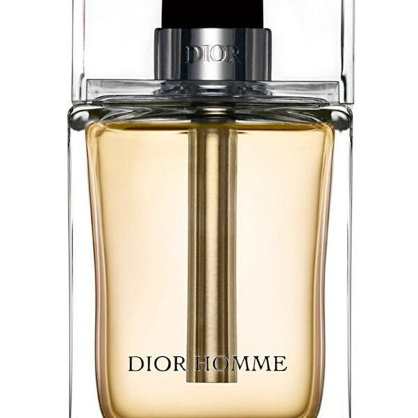 Dior Homme 2005 Dior perfume