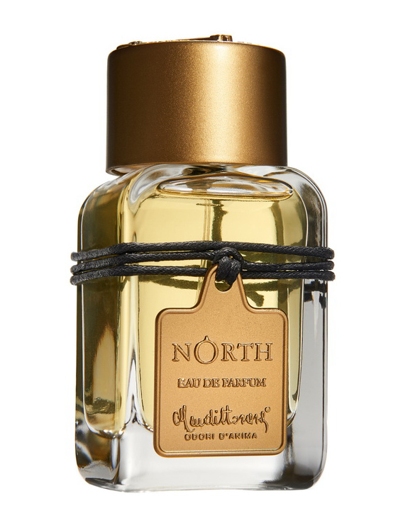 North Mendittorosa Perfume by Mendittorosa for Unisex UAE