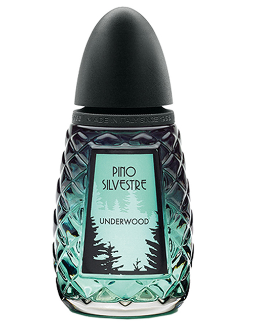Underwood Pino Silvestre Perfume by Pino Silvestre for Men UAE