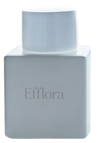 Efflora Odin perfume
