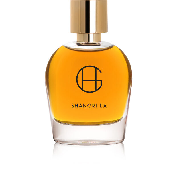 Hyde Hiram Green Perfume by Hiram Green for Unisex UAE