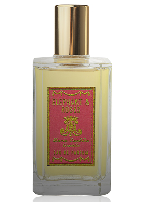 Elephant & Roses Maria Candida Gentile perfume