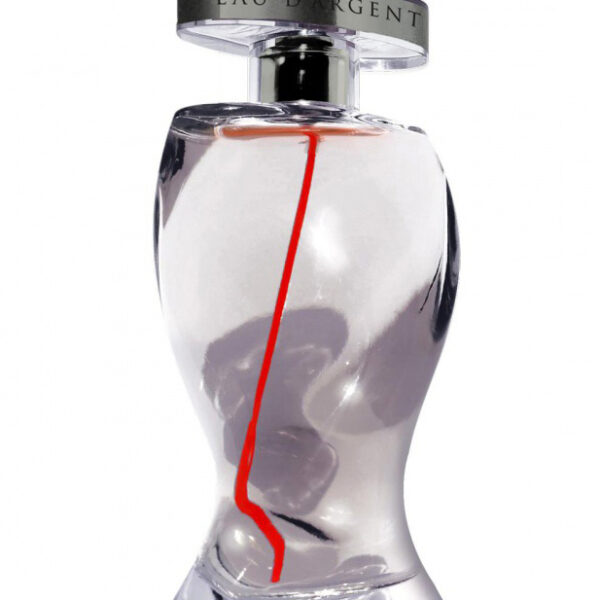 Suggestion Eau d'Argent 2016 Montana perfume