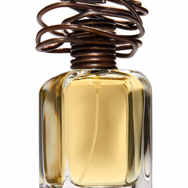 Archetipo Mendittorosa perfume