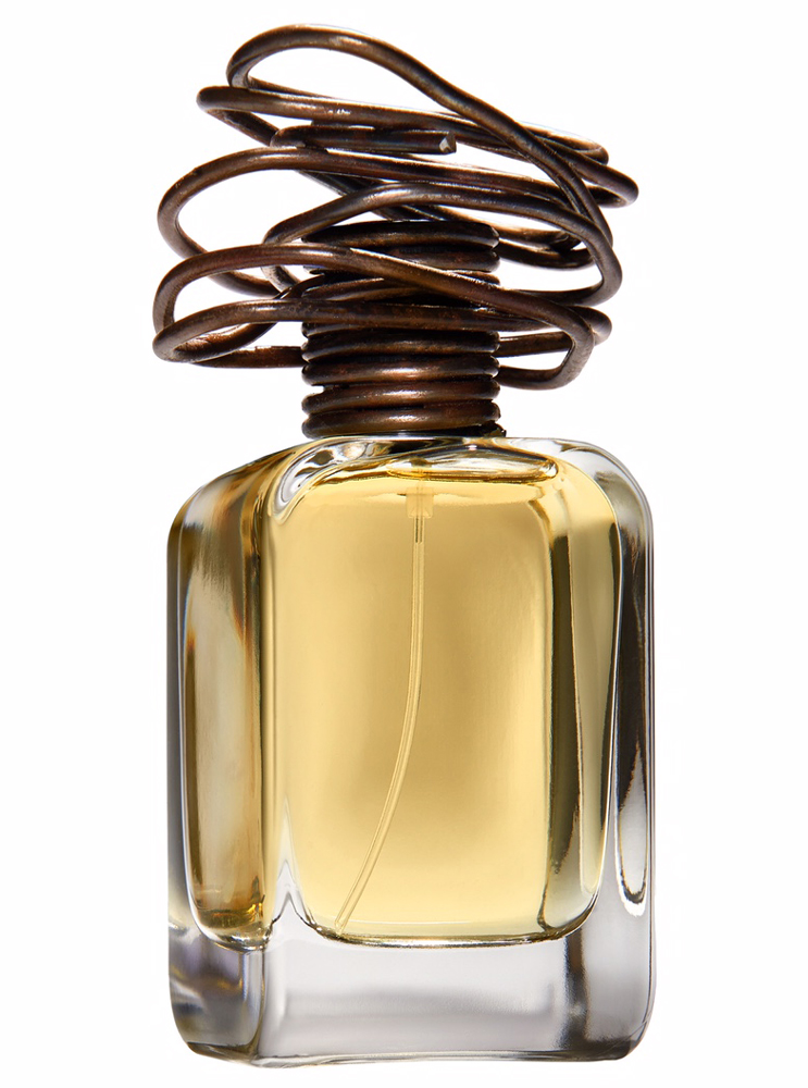 Archetipo Mendittorosa Perfume by Mendittorosa for Unisex UAE