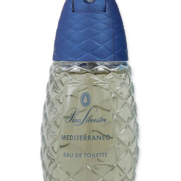 Pino Silvestre Icewater Pino Silvestre Perfume by Pino Silvestre for Men UAE