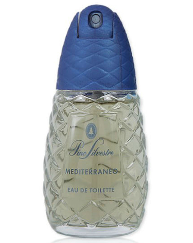 Pino Silvestre Mediterraneo Pino Silvestre Perfume by Pino Silvestre for Men UAE
