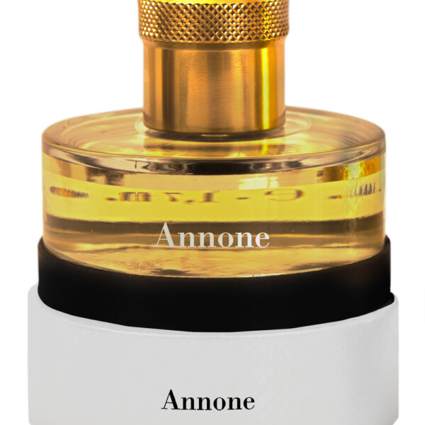 O Pantheon Roma Perfume by Pantheon Roma for Unisex UAE