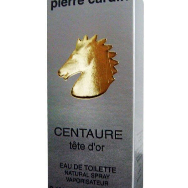 Style Pierre Cardin Perfume by Pierre Cardin for Men UAE