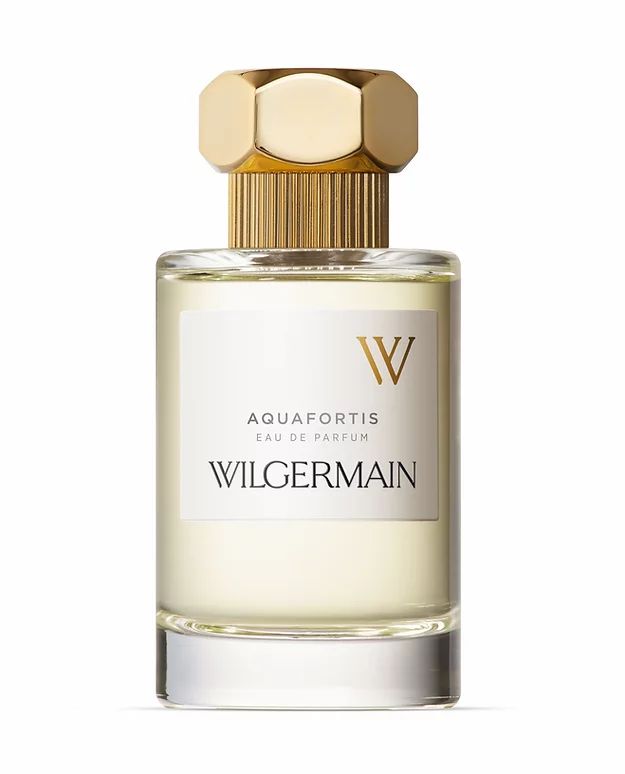 Aquafortis Wilgermain Perfume by Wilgermain for Unisex UAE