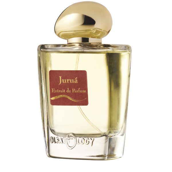 OT - 11 Olfattology Perfume by Olfattology for Unisex UAE