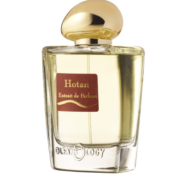OT - 11 Olfattology Perfume by Olfattology for Unisex UAE
