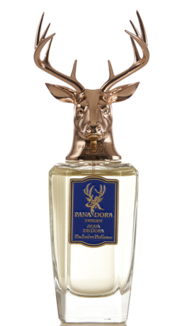 Aqua de Dora Pana Dora Perfume by Pana Dora for Men UAE