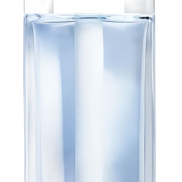 Dior Addict Edp Perfume by Dior for Women UAE