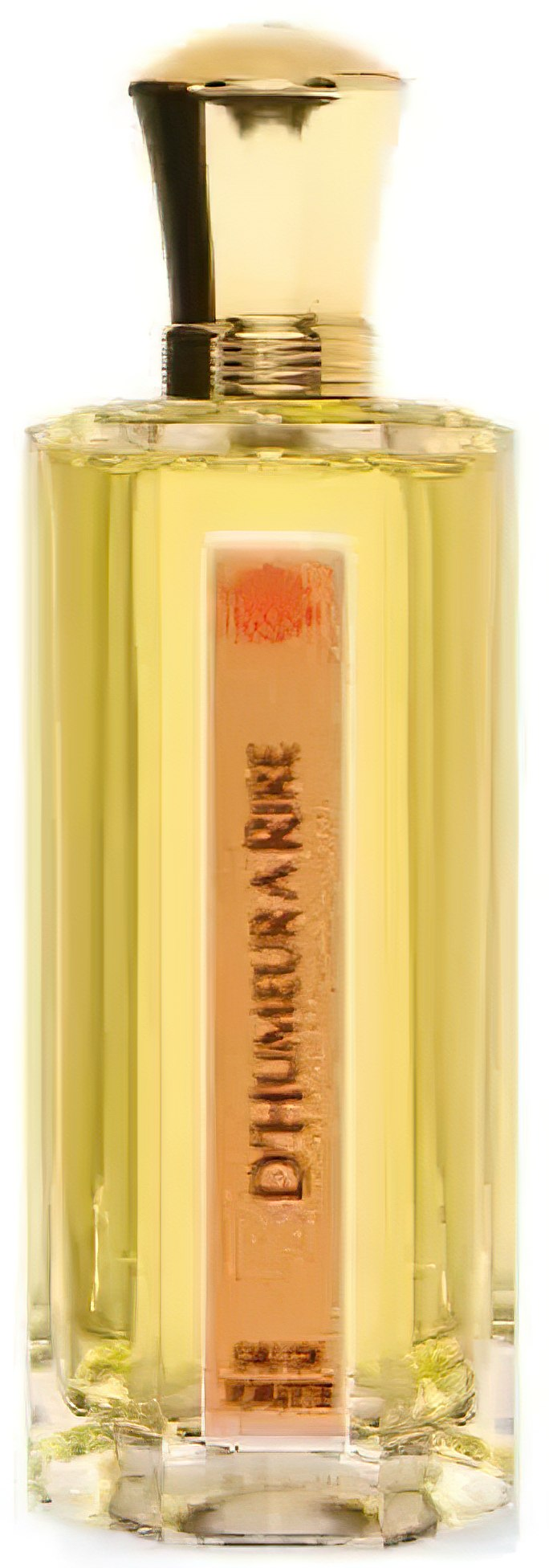 D'Humeur a Rire L'Artisan Parfumeur L Artisan Parfumeur Perfume by L Artisan Parfumeur for Unisex UAE