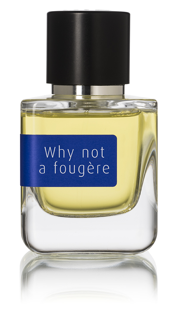 Why Not a Fougère Mark Buxton Perfume by Mark Buxton for Unisex UAE