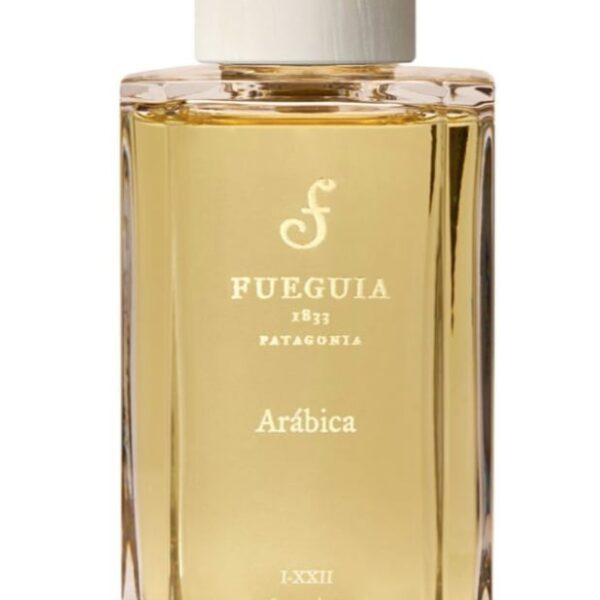 Ambar Nocturno Fueguia 1833 Perfume by Fueguia 1833 for Unisex UAE